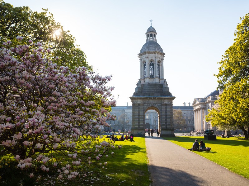 Đại học Trinity Dublin